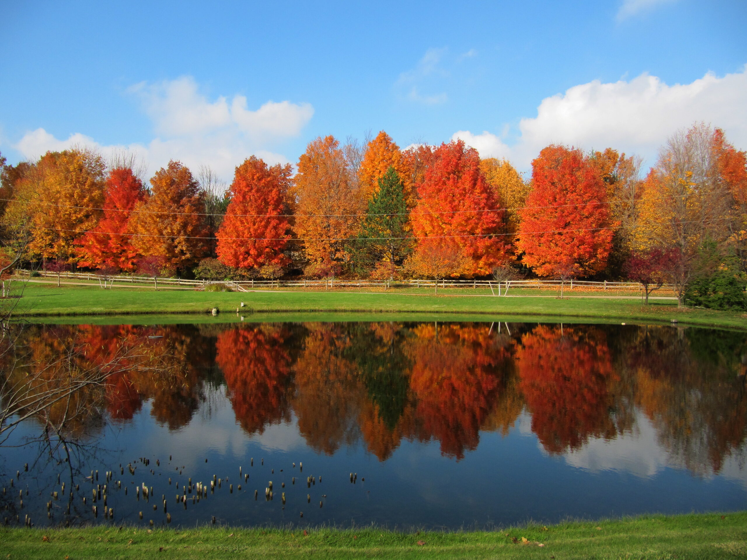 Grandville_Michigan Neighborhood